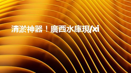 清淤神器！廣西水庫現(xiàn)代化設(shè)備助力水質(zhì)凈化，你知道它是什么嗎？